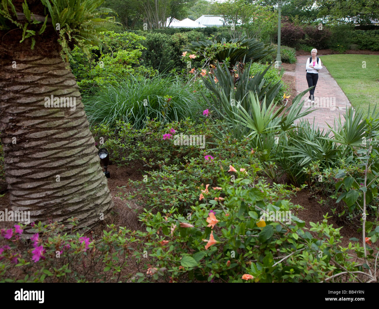 New Orleans Botanical Garden Stock Photo 24081225 Alamy