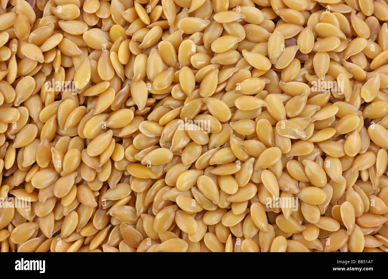 Семена золотая семечка. Найди золотую семечку. Акция золотая семечка. Найди золотую семечку. Розыгрыш золотая семечка.