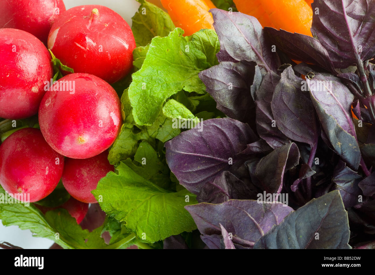 Assortment of fresh vegetables Stock Photo Alamy
