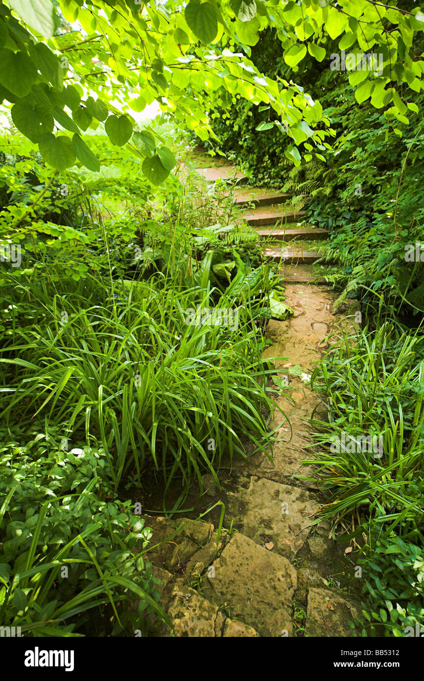 LS Stone Garden path with steps leading out of frame. Lush green foliage either side Stock Photo