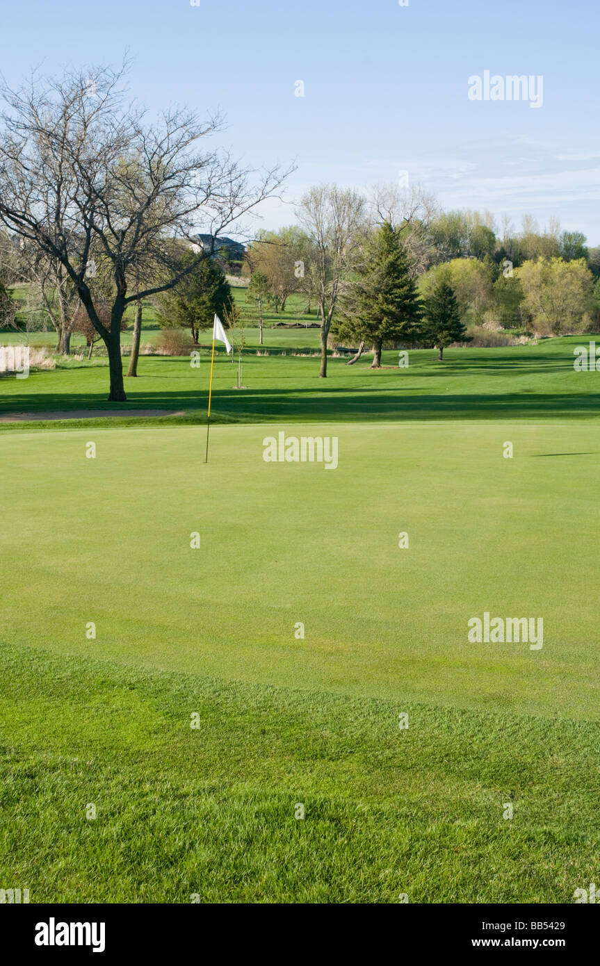 Golf course with putting green Stock Photo Alamy