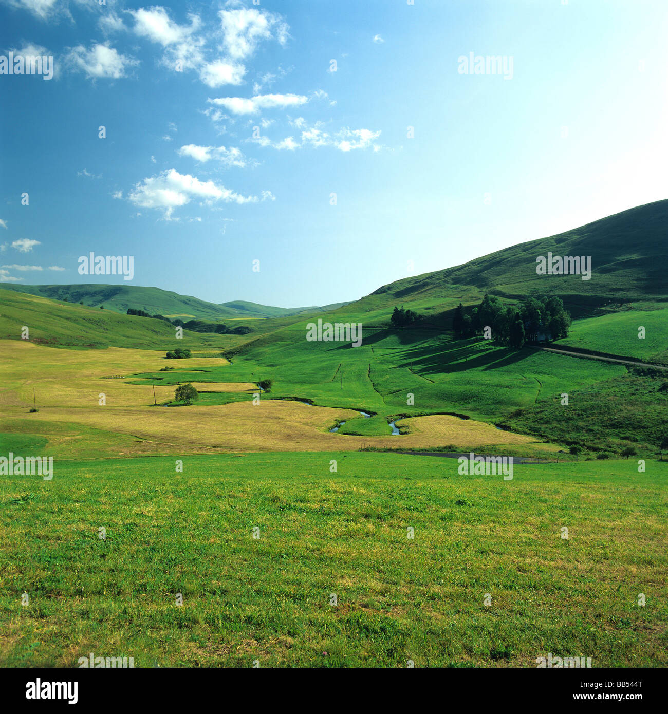 Mountains and rolling hills landscape of Cezallier, Auvergne, France, Europe Stock Photo