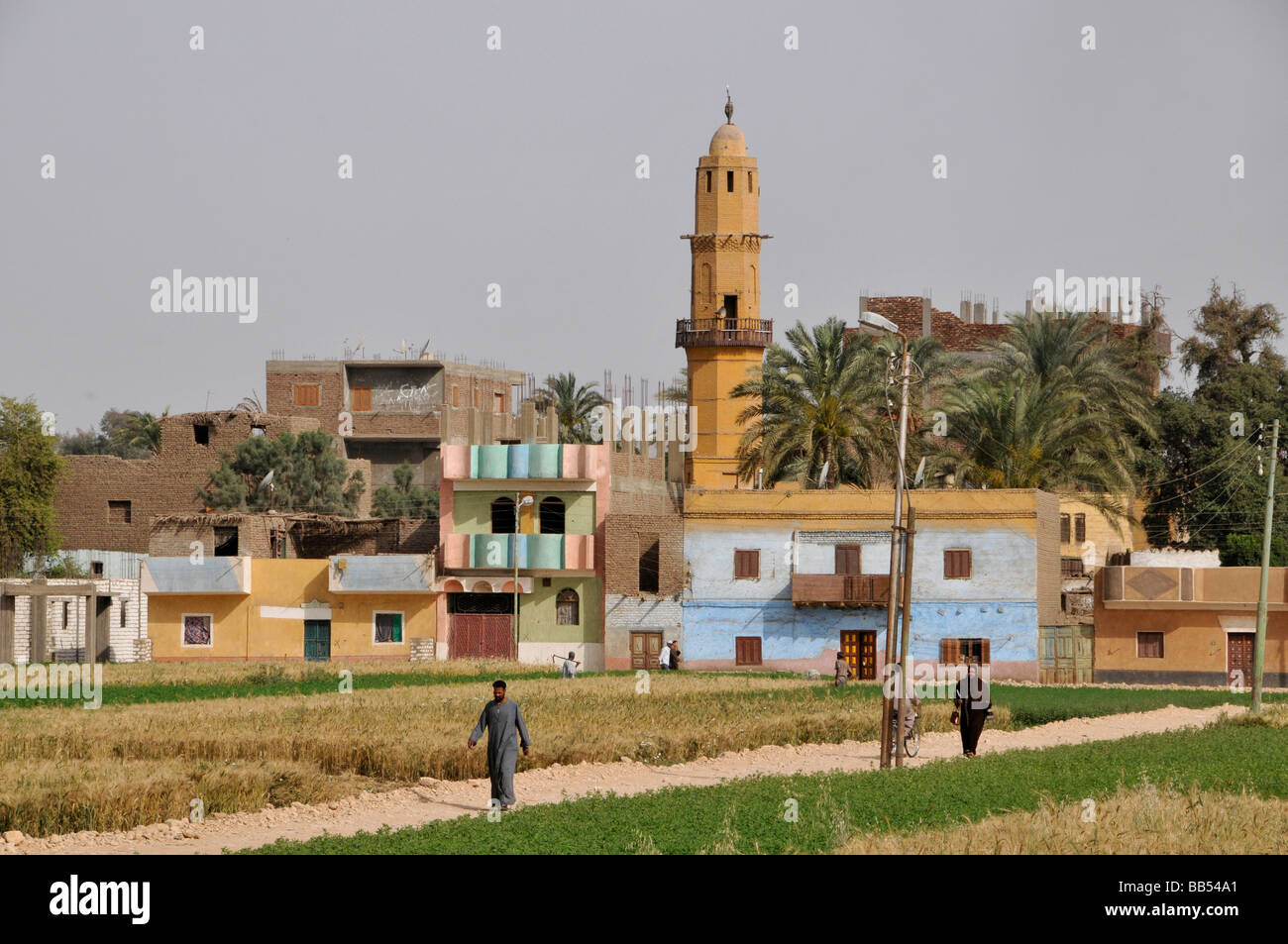 Nile River Egypt Farm Farmer agriculture field Stock Photo