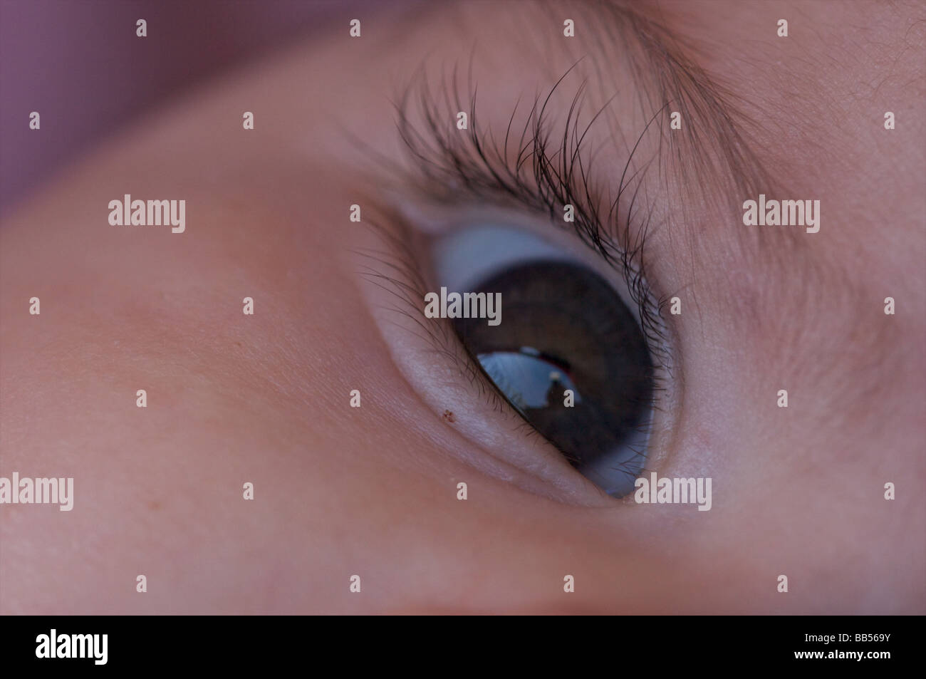 a close up of a baby's eye Stock Photo - Alamy