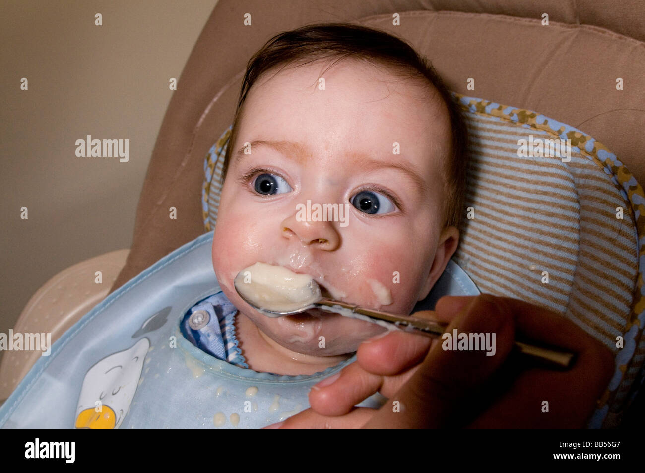 six month old baby eating baby food Stock Photo Alamy