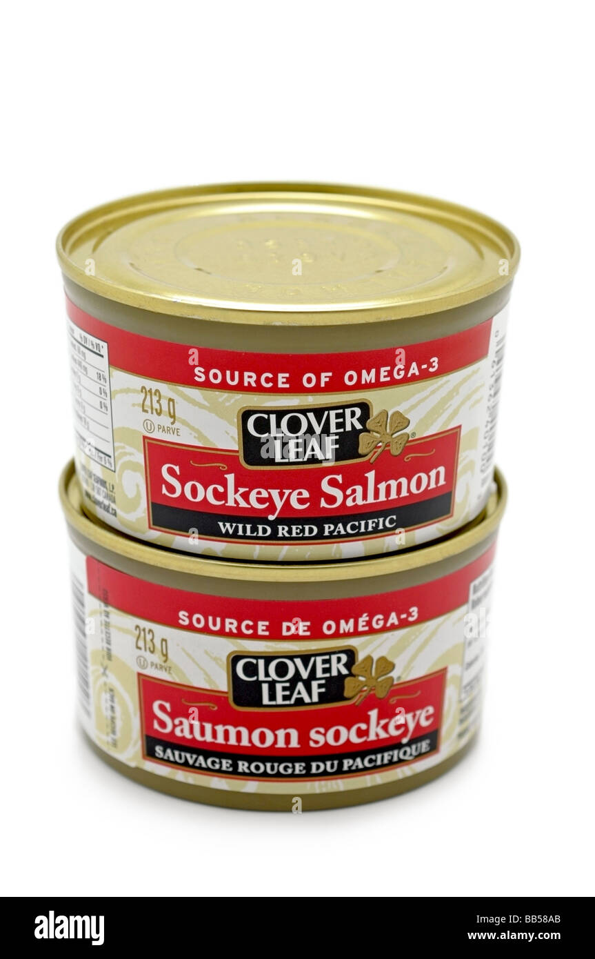 Tinned Sockeye Salmon Stock Photo