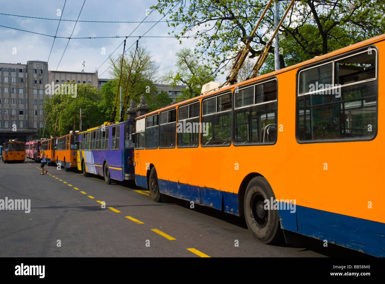 Electric trolley buses hires stock photography and images Alamy