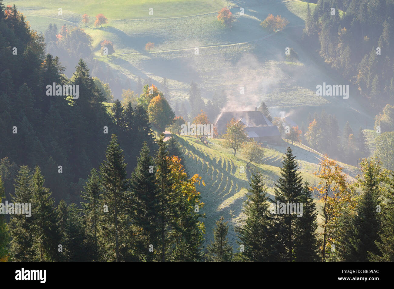 farmer house in the hills switzerland Stock Photo