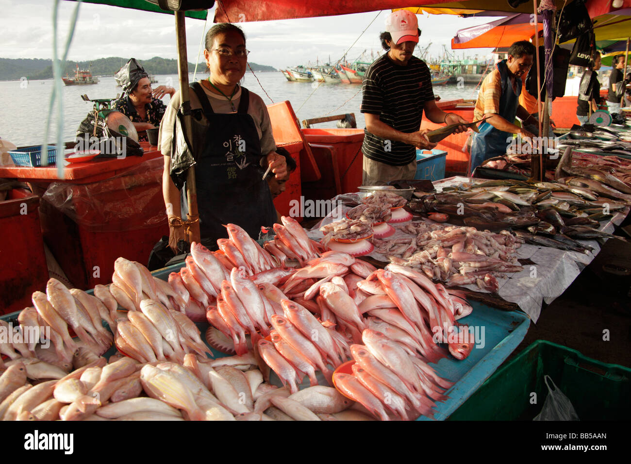 fish market in Kota Kinabalu Sabah Borneo Malaysia Stock Photo Alamy