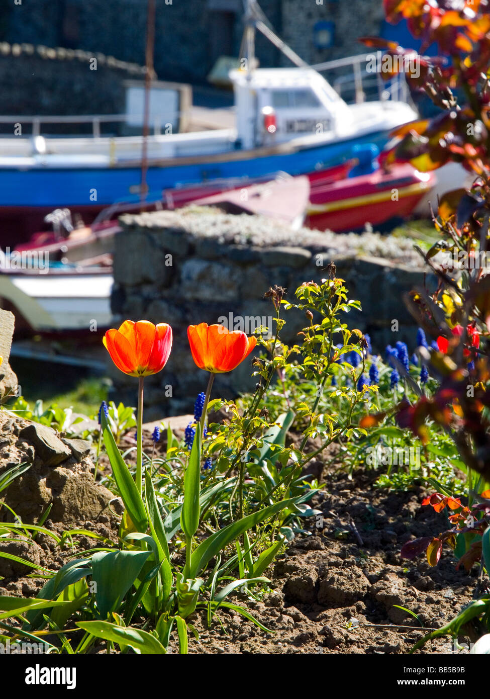 The harbour at Craster, a fishing village on the Northumberland Coast England UK Stock Photo