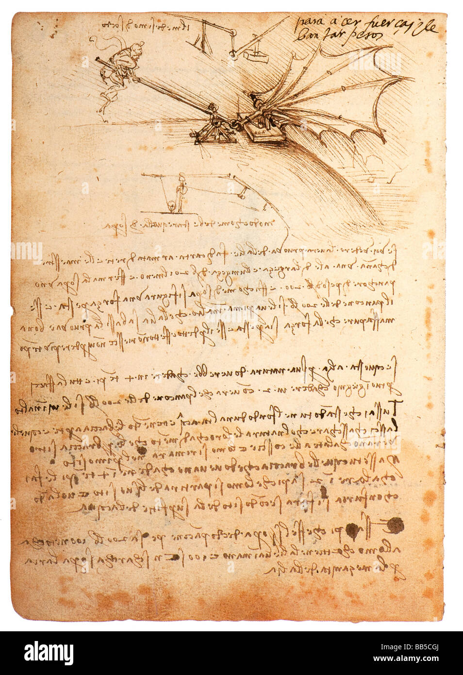 Flapping Wing by Leonardo da Vinci 1487-1489  pen ink Stock Photo