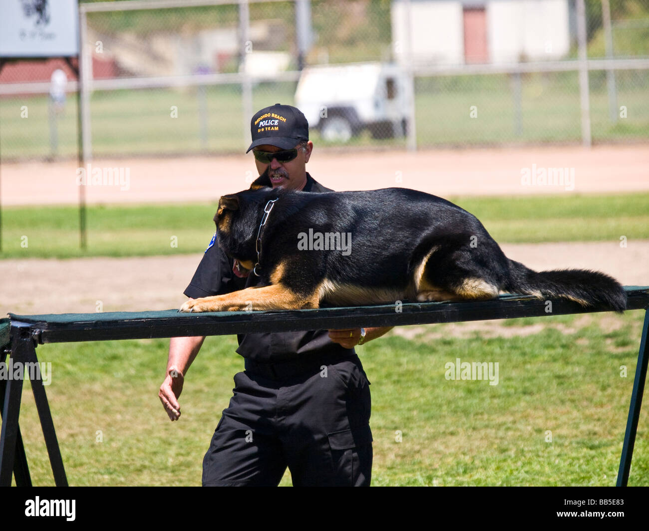 Police officer handler commands his dog in the agility phase of the k9 trials Stock Photo Alamy