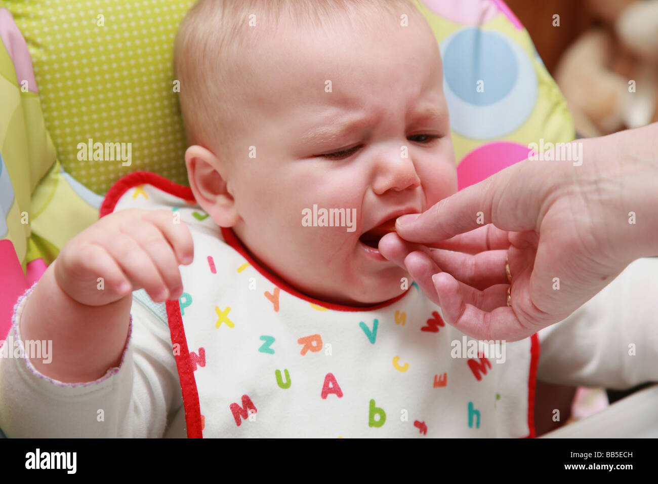 8 month old baby eating and drinking Stock Photo