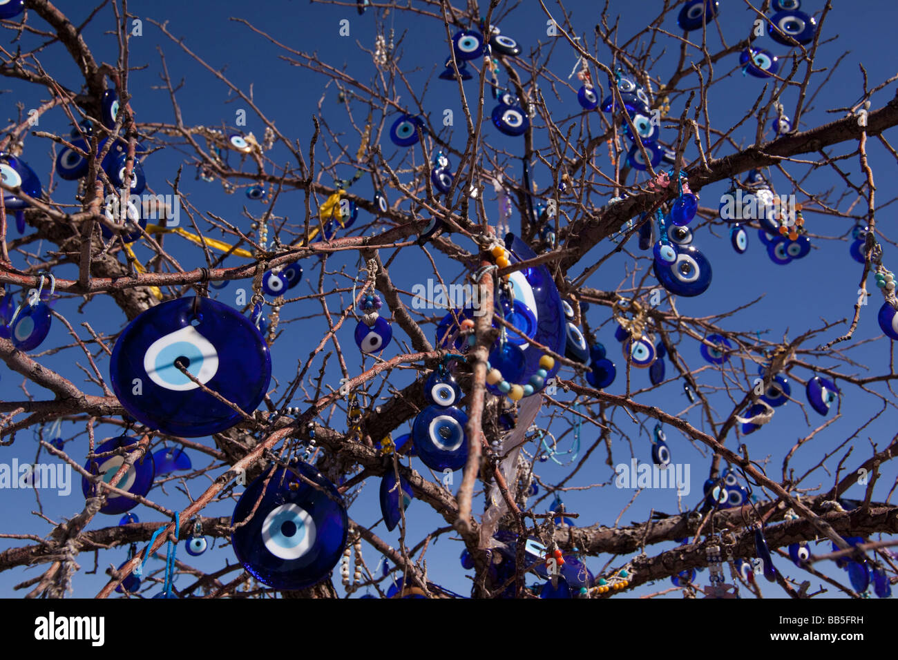 Glass evil eye charms hanging from a barren tree in Cappadocia Turkey Stock Photo
