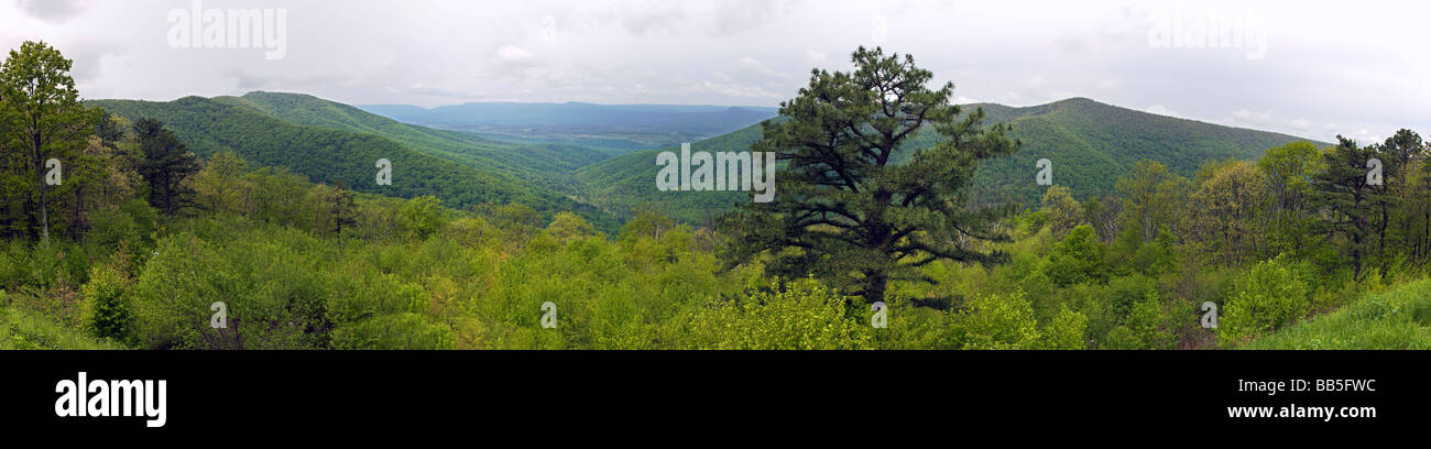 Springtime view from the Jeremys Run Overlook on the Skyline Drive in Shenandoah National Park Virginia USA Stock Photo