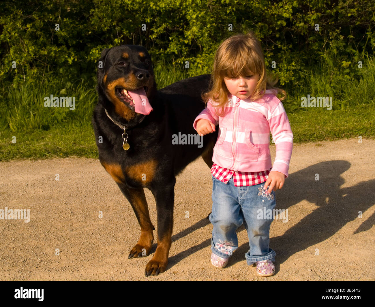 best dog for little girl