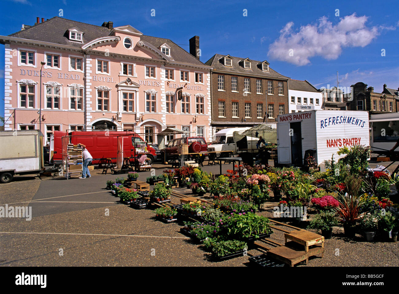 Plant stall at the Tuesday Market in front of the Dukes Head Hotel in the centre of Kings Lynn West Norfolk Stock Photo