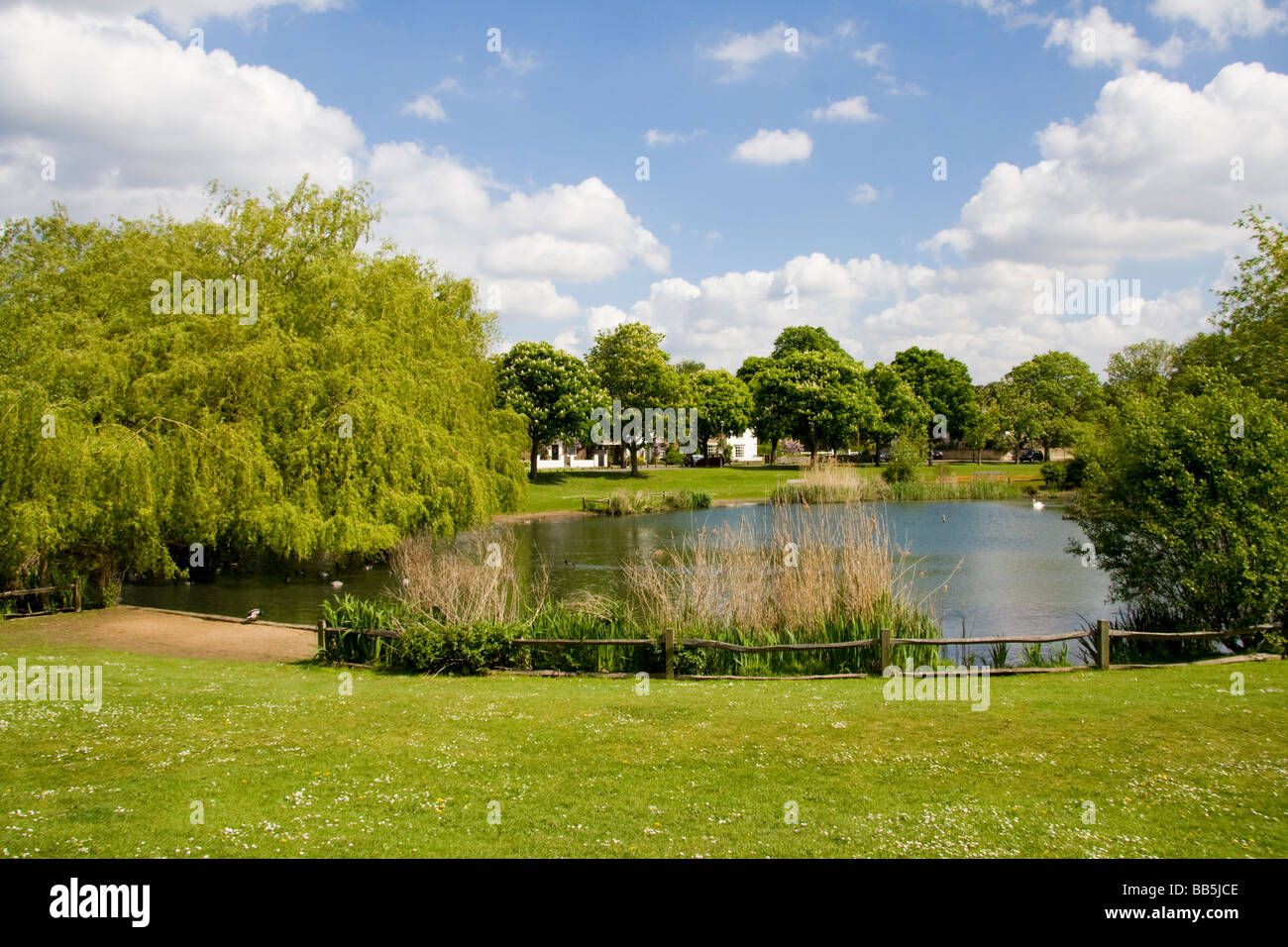 Ham Common Richmond Upon Thames Surrey England Stock Photo Alamy