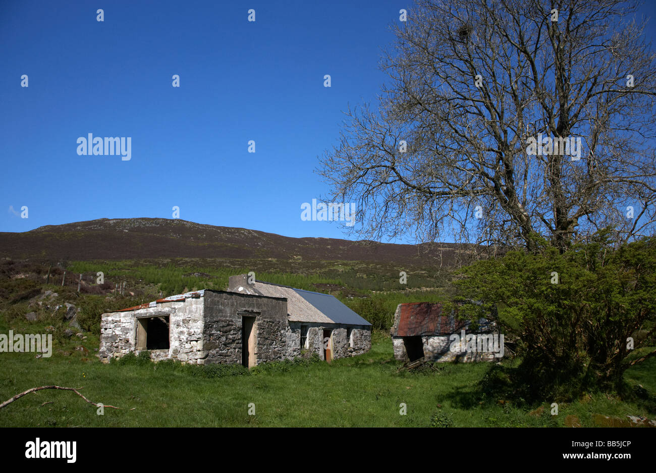 old abandoned remote rural irish farm buildings on Slieve Gullion mountain in the ring of gullion south county armagh Stock Photo