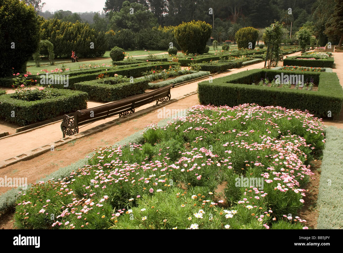 National Botanic Garden, Viña, Chile Stock Photo Alamy