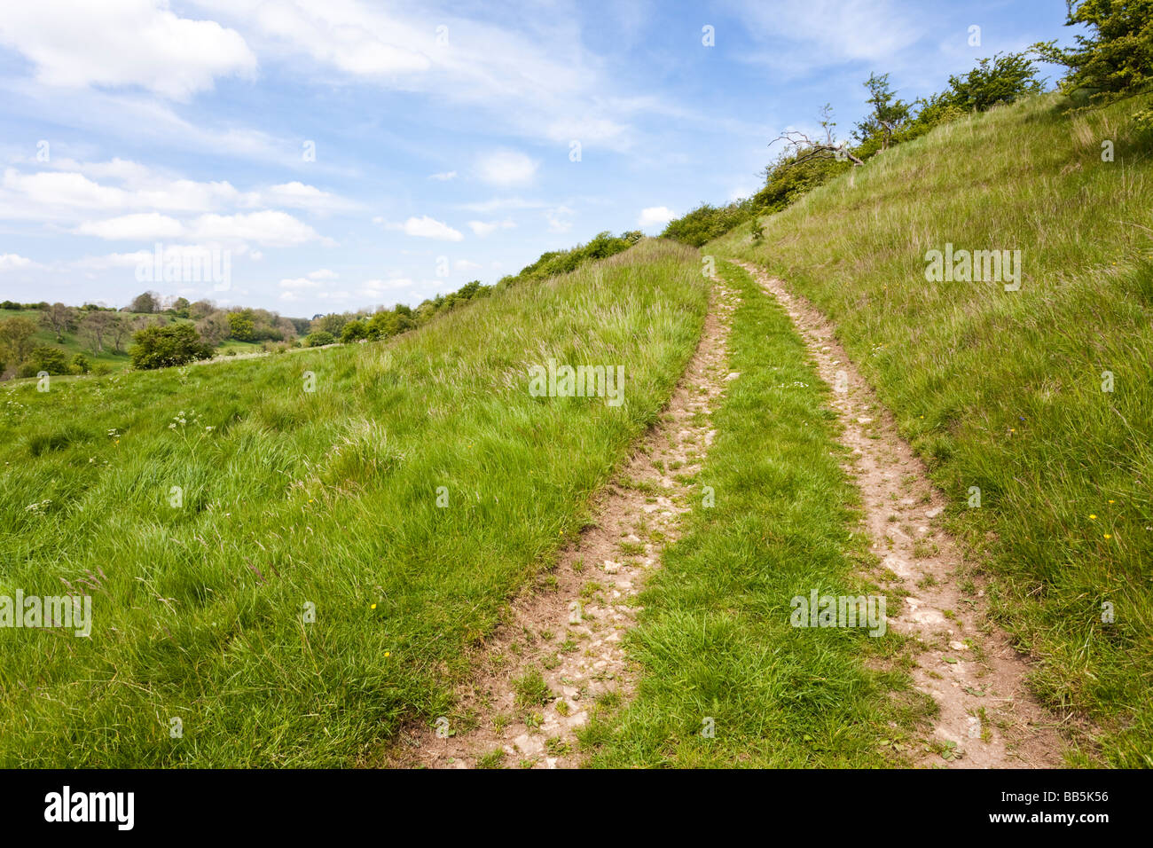 A public footpath going uphill in the Lasborough valley in the Gloucestershire Cotswolds Stock Photo