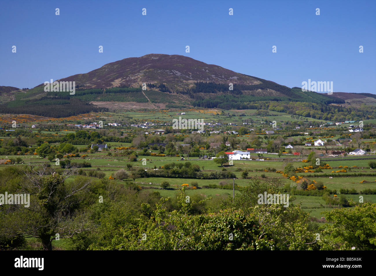 Slieve Gullion mountain in the ring of gullion south county armagh northern ireland uk Stock Photo