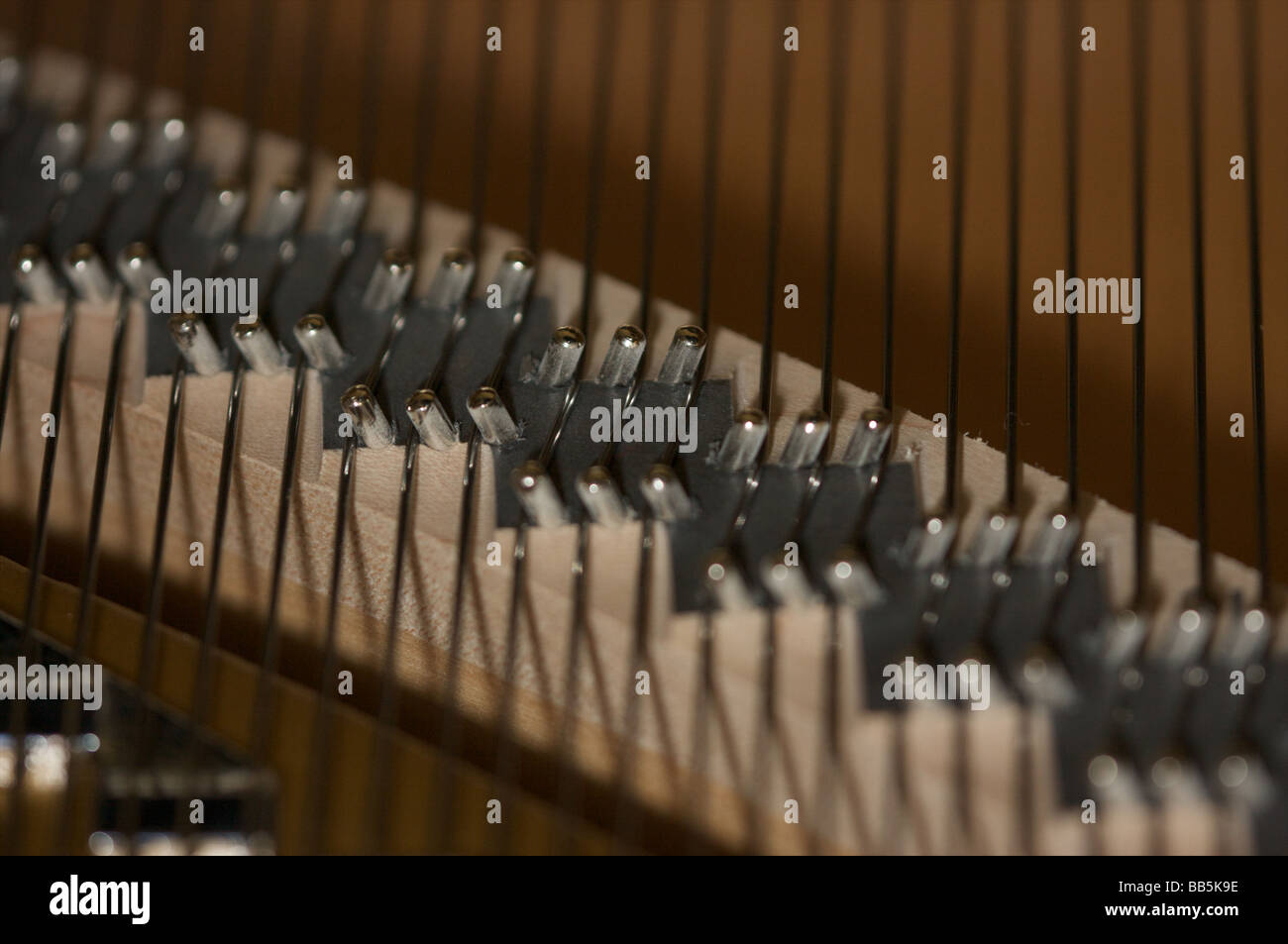 close up of piano strings Stock Photo Alamy