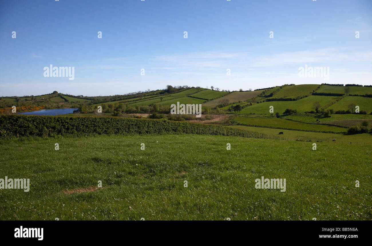 typical drumlins ridgeline in countryside south armagh northern ireland uk Stock Photo