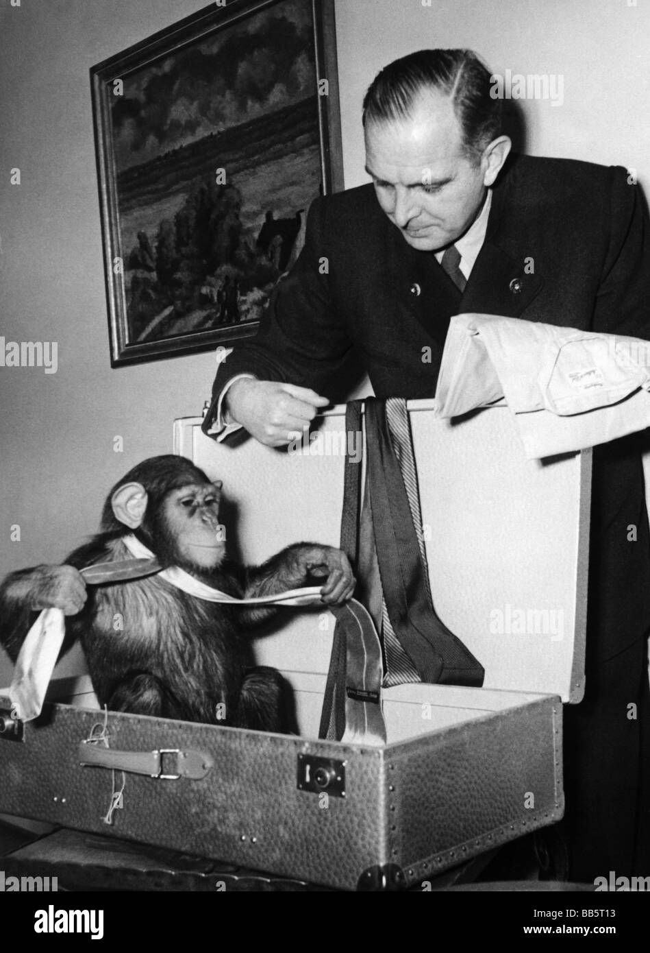 Grzimek, Bernhard, Prof. Dr., 24.4.1909 - 13.3.1987, German zoologist ...