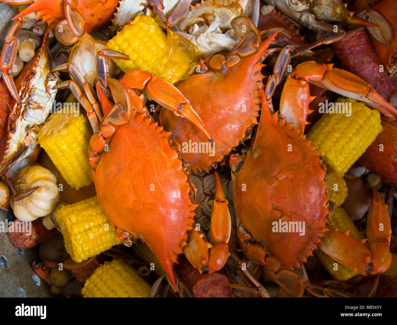 Louisiana Crab Boil Recipe This Ole Mom, 53 OFF