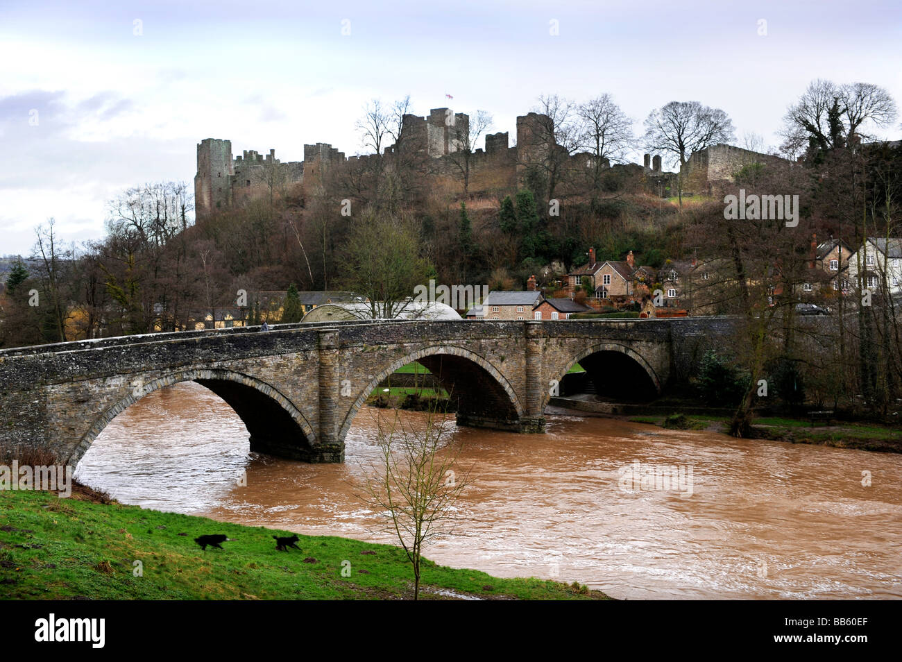 VIEW OF THE LUDLOW CASTLE ABOVE DINHAM BRIDGE LUDLOW SHROPSHIRE UK