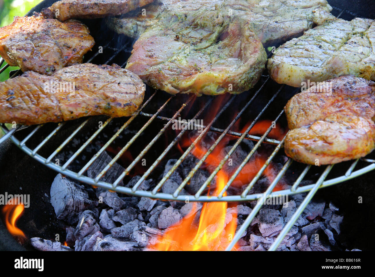 Grillen barbecue 96 Stock Photo