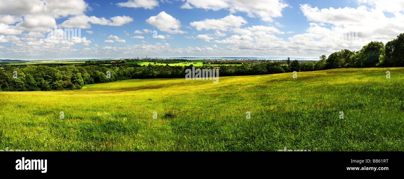 A panoramic view of a field pasture meadow in Langdon Hills Country Park Essex. Stock Photo