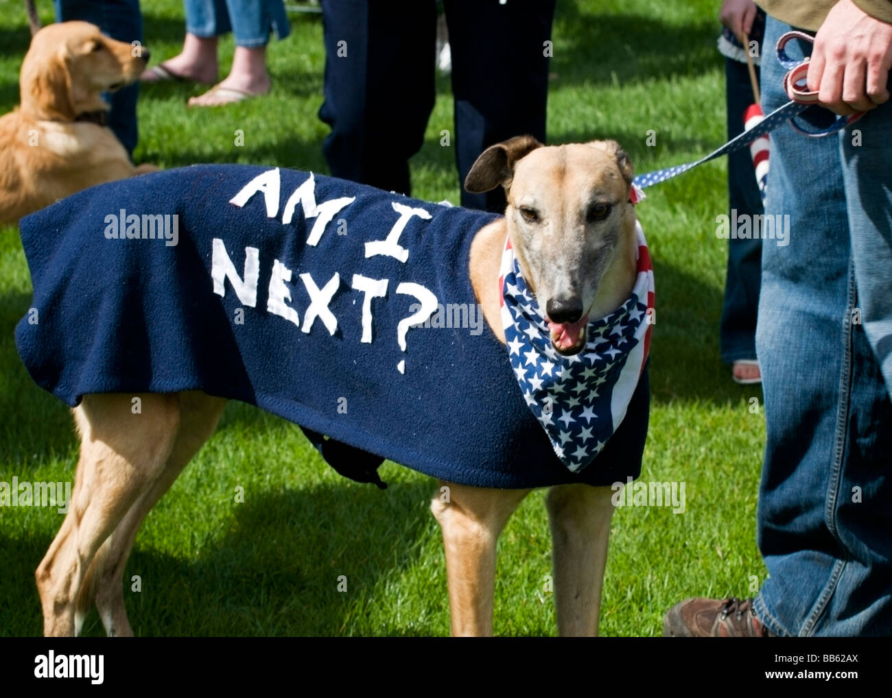 A dog wears a blanket with a sign at the Olympia Washington Tea Party Rally on April 15 2009 Stock Photo
