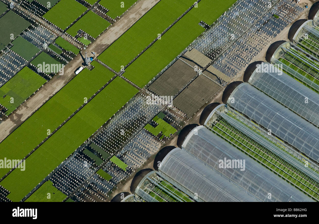 aerial view above greenhouse Oceano California Stock Photo Alamy