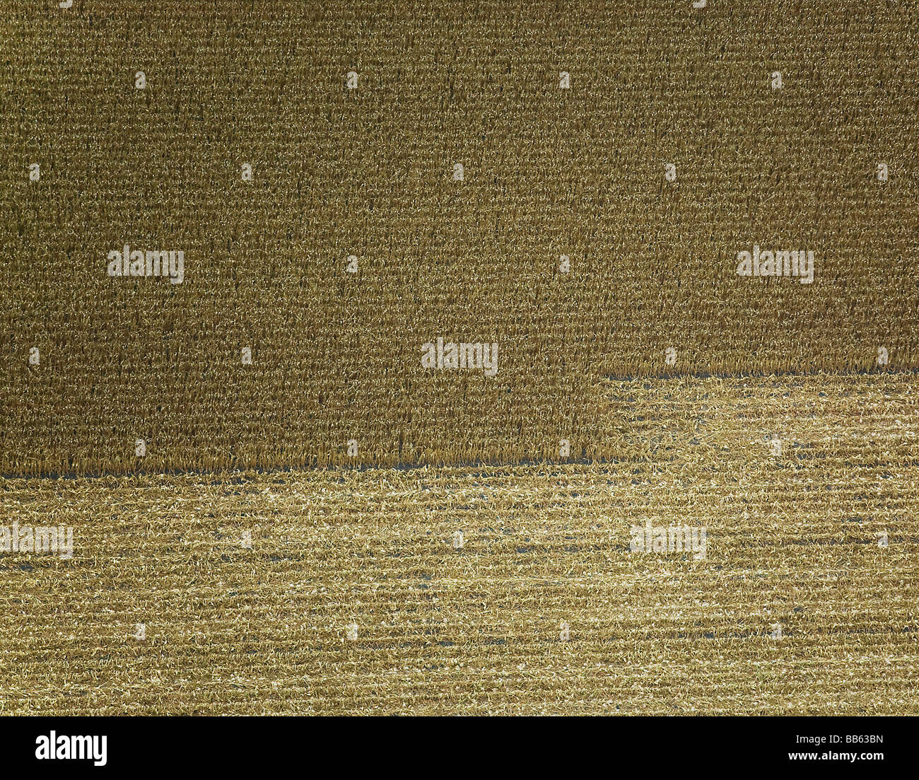 aerial view above partially harvested field Texas Stock Photo