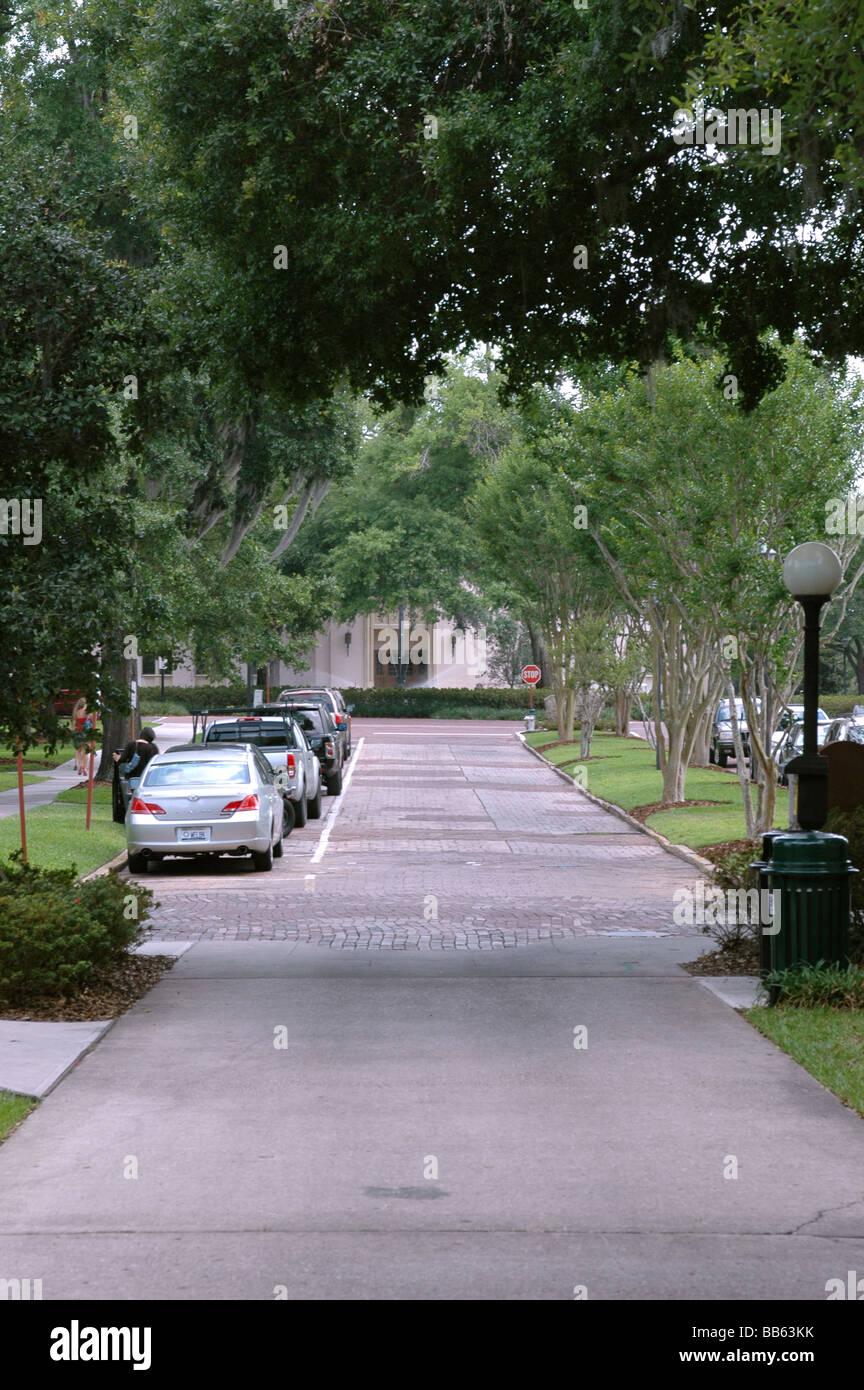 Tree lined street on a college/university campus, depicting normal college life Stock Photo