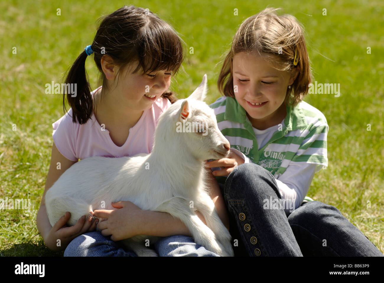 Girls hugging goats in grass Stock Photo