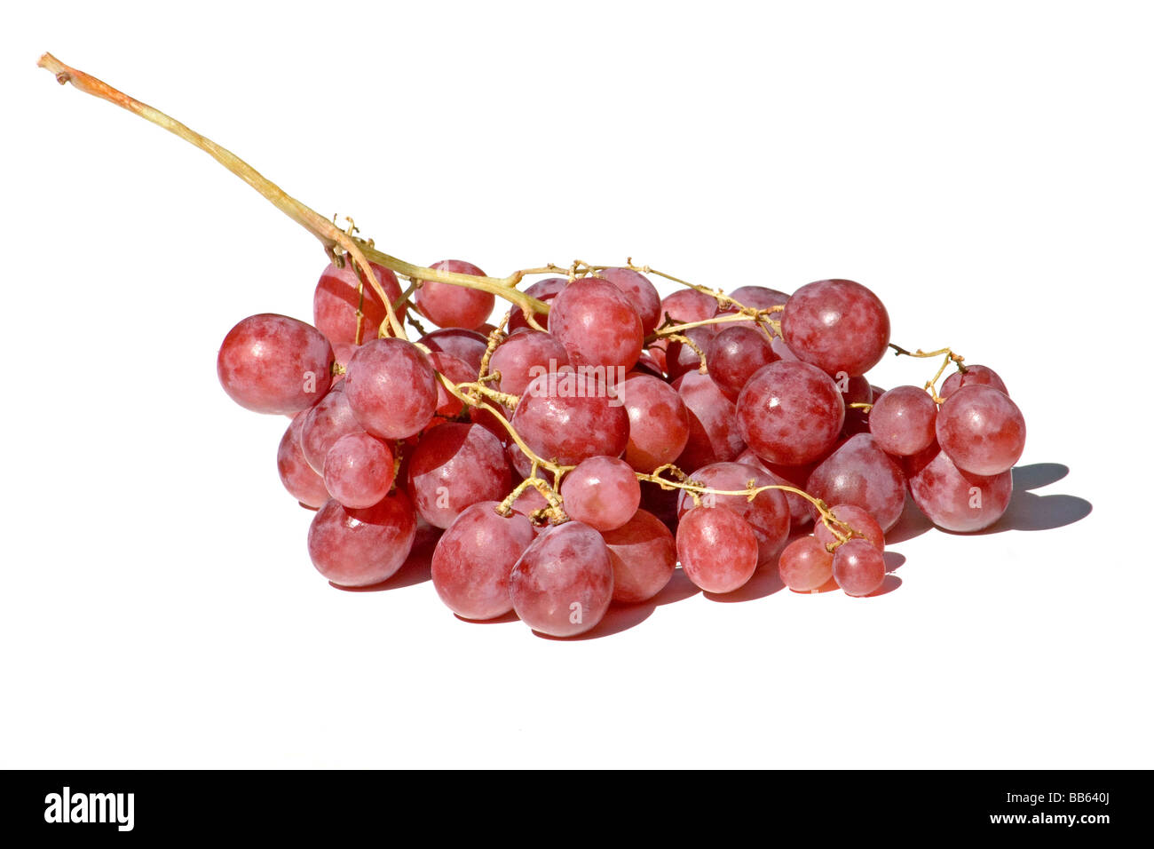 Red grapes on white background Stock Photo