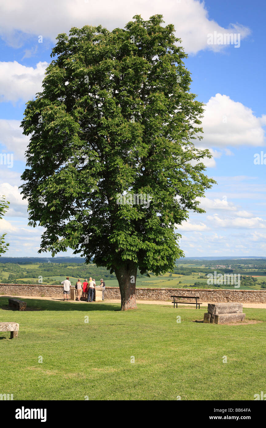 View towards the Morvan from the terrace of Basilique Sainte Marie-Madeleine, Vezelay, featuring a large horse chestnut tree. Stock Photo