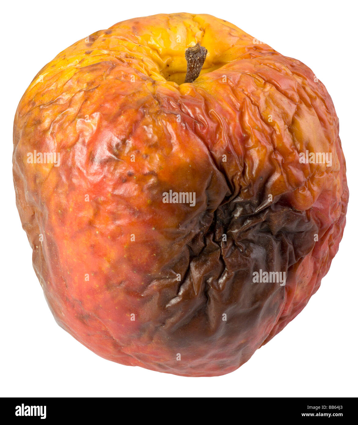 Rotten apple(clipping path) Stock Photo