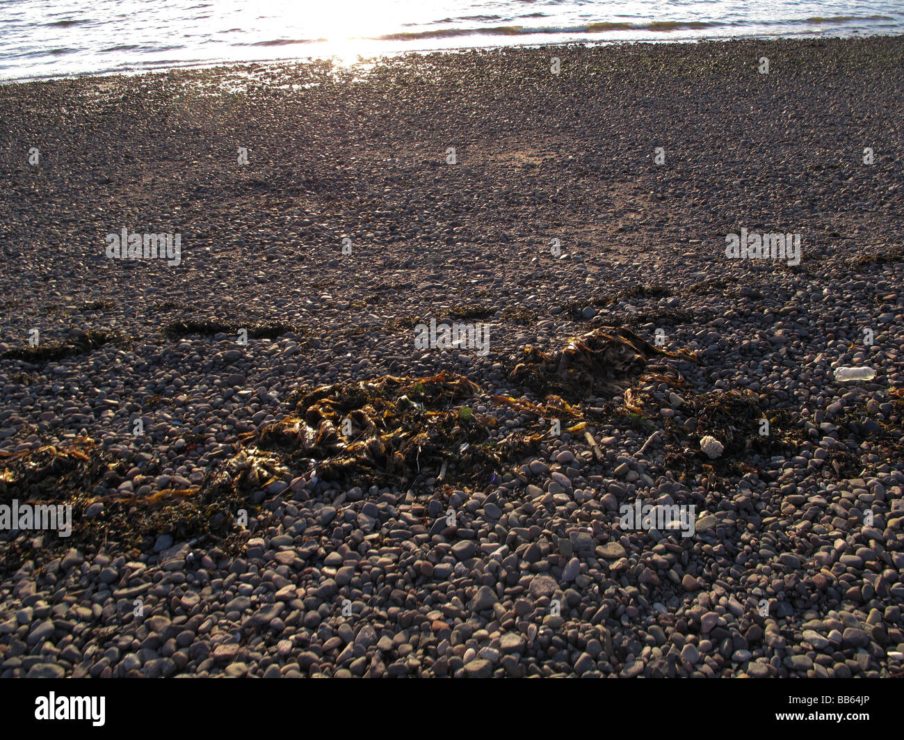 Stones pebbles beach hi-res stock photography and images - Alamy