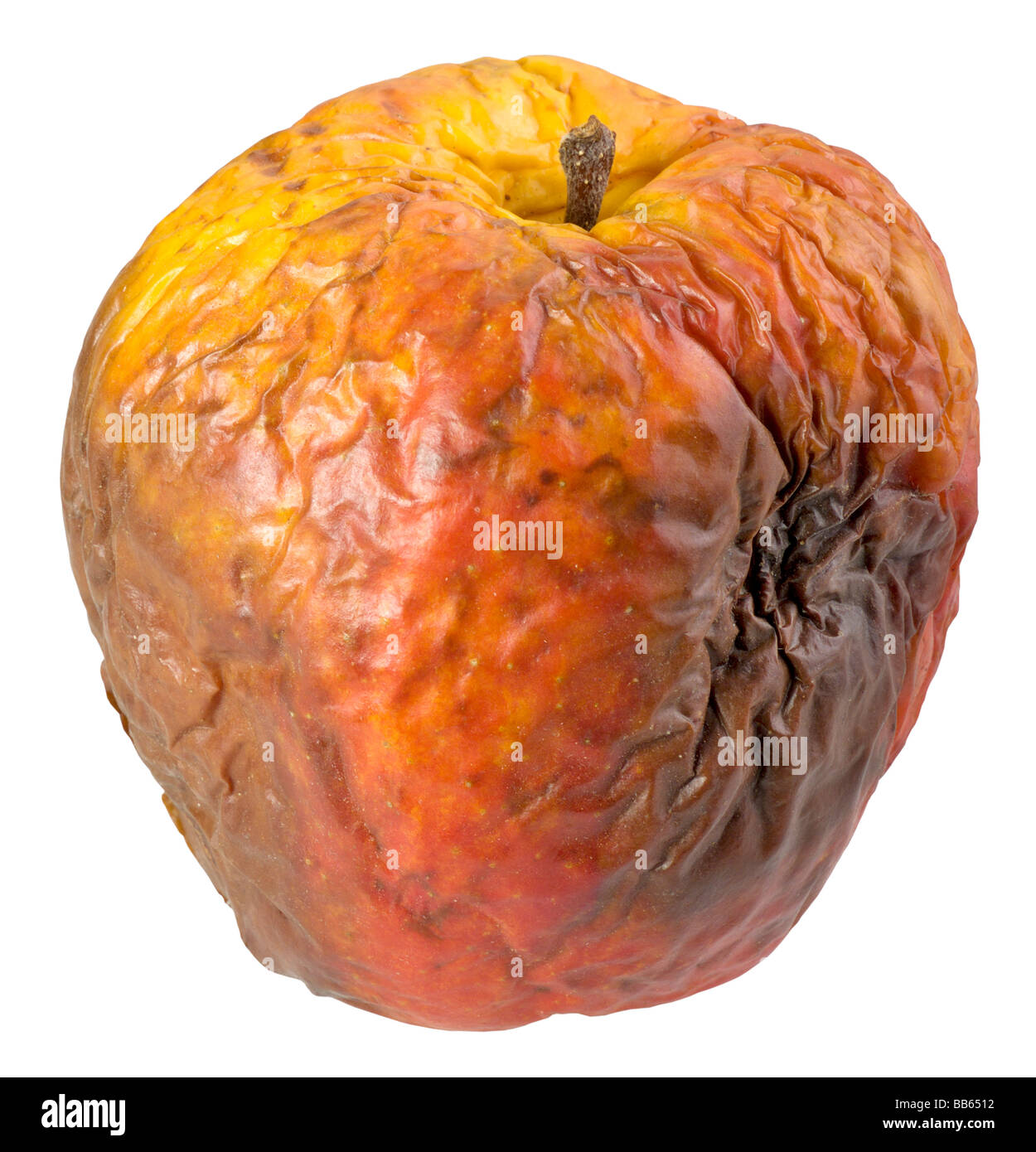 Rotten apple(clipping path) Stock Photo