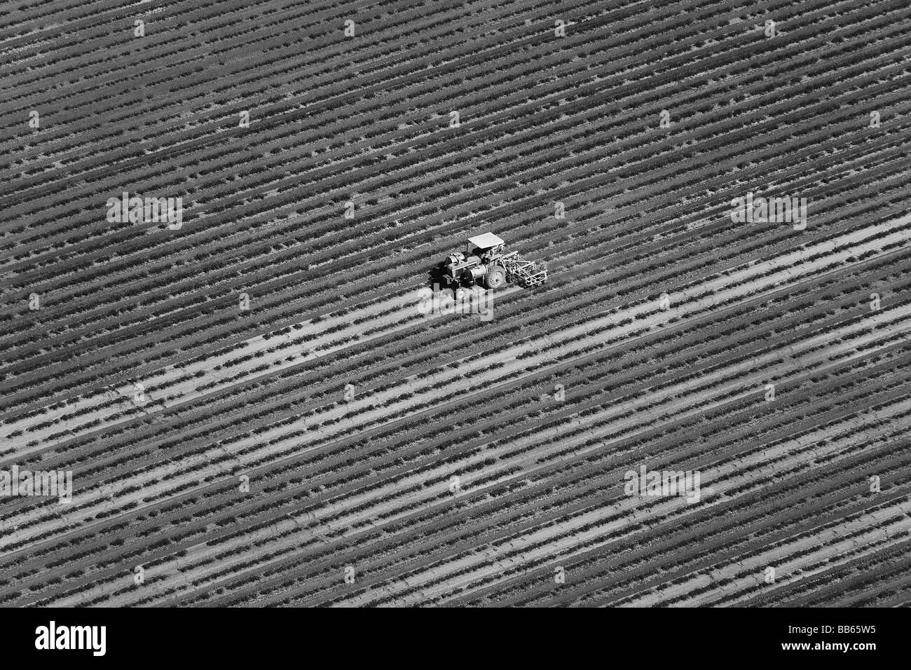aerial view above tractor maintaining planted agricultural field California central valley Stock Photo