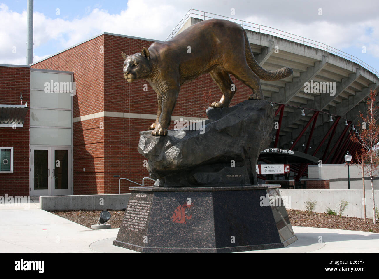 A huge bronze statue of a Cougar now sits by the main entrance to Martin Stadium on the campus of Washington State University. Stock Photo
