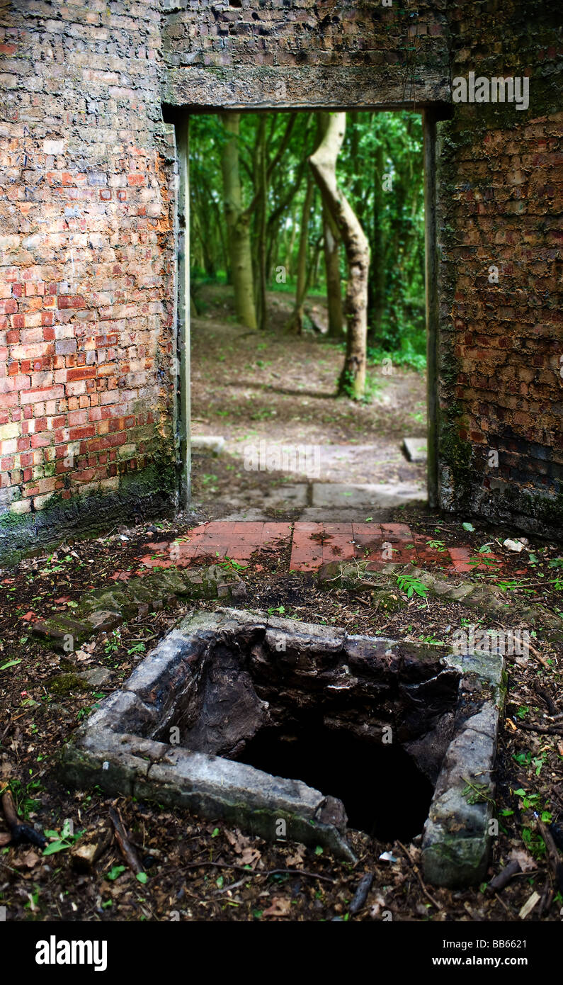 The remains of Well No.5 an old building in Langdon Hills Country Park in Essex. Stock Photo
