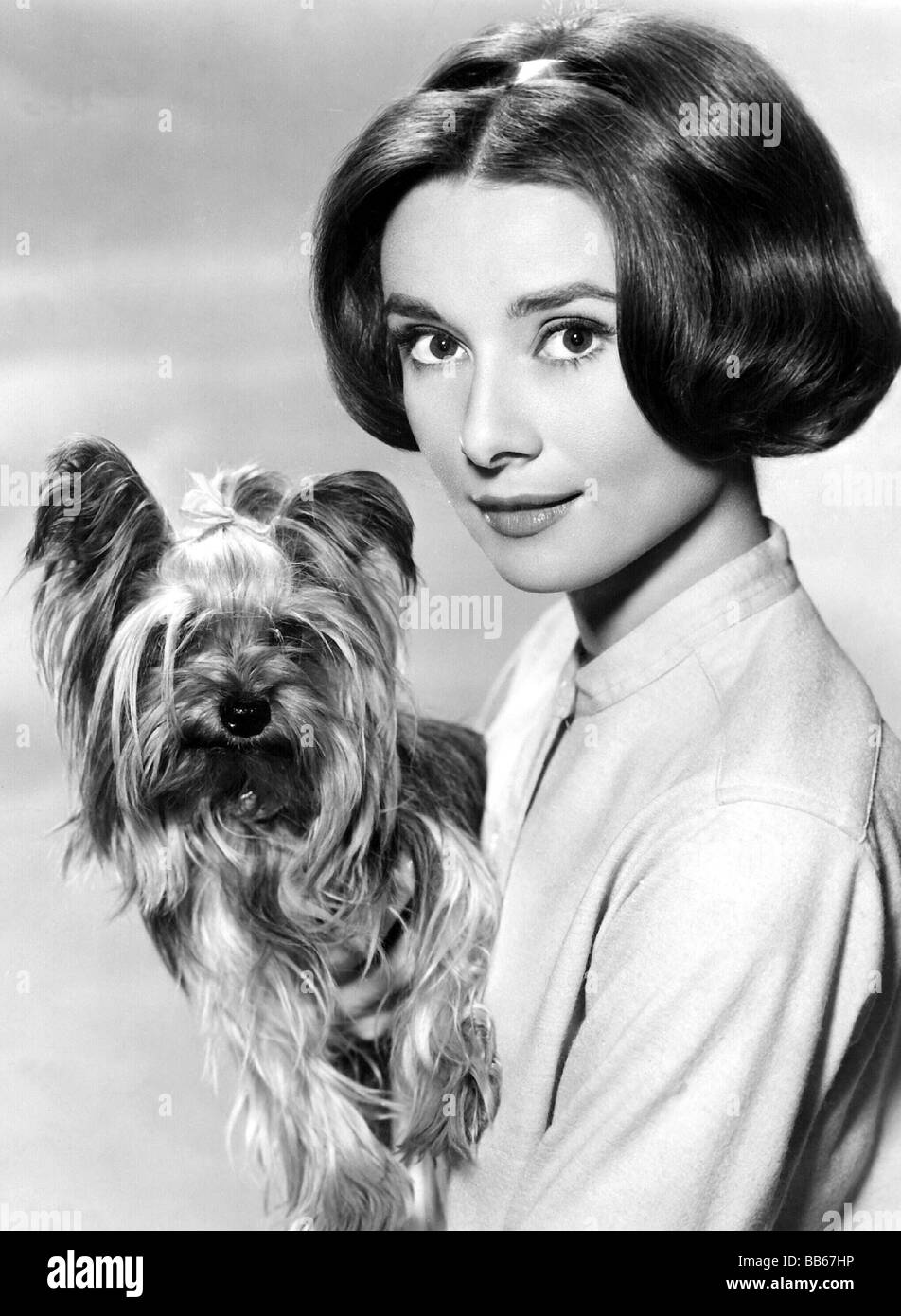Hepburn, Audrey, 4.5.1929 - 20.1.1993, British actress, portrait, with dog, late 1950s, Stock Photo
