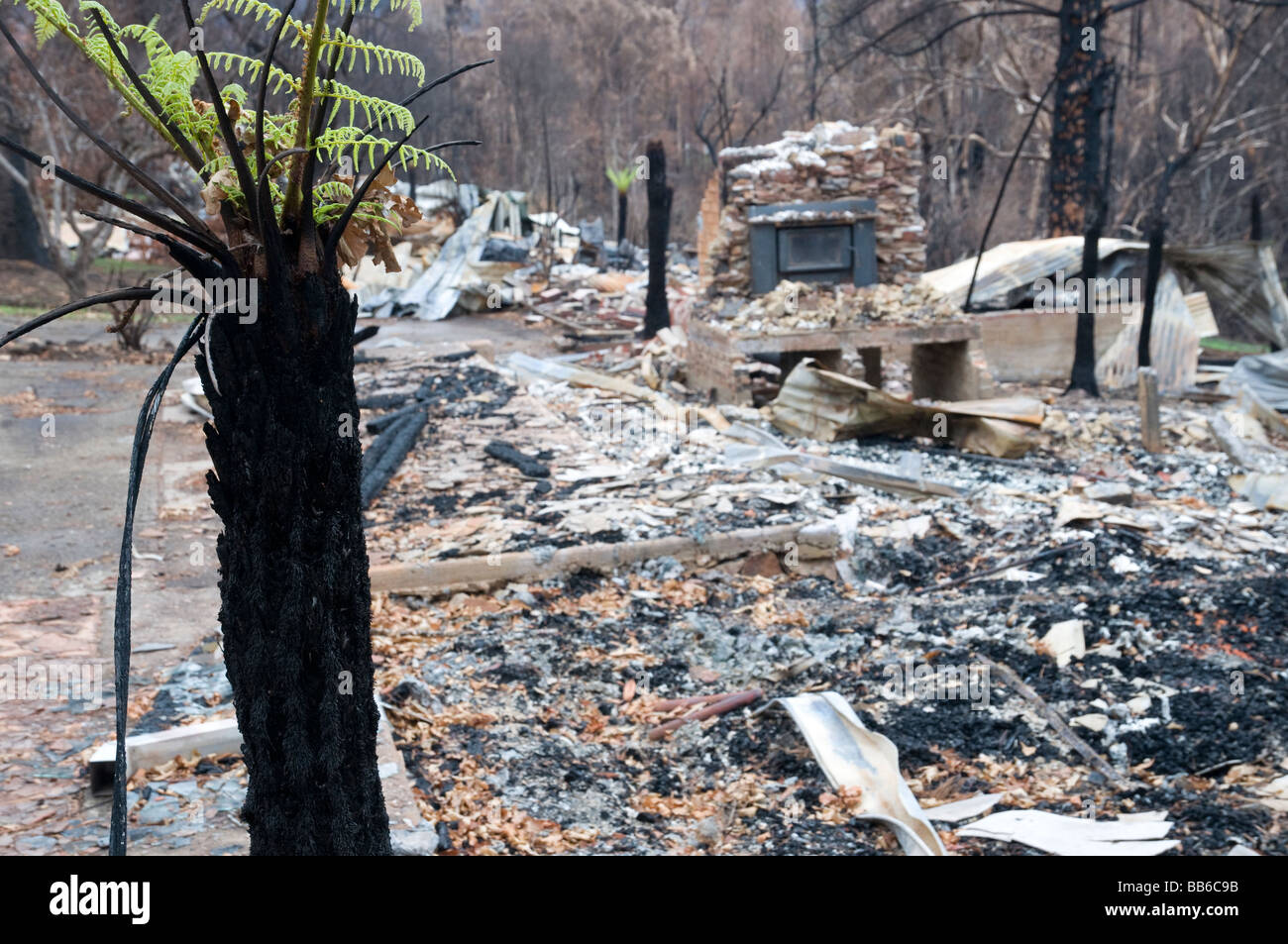 The remains of a home and devastation left after a bushfire Stock Photo