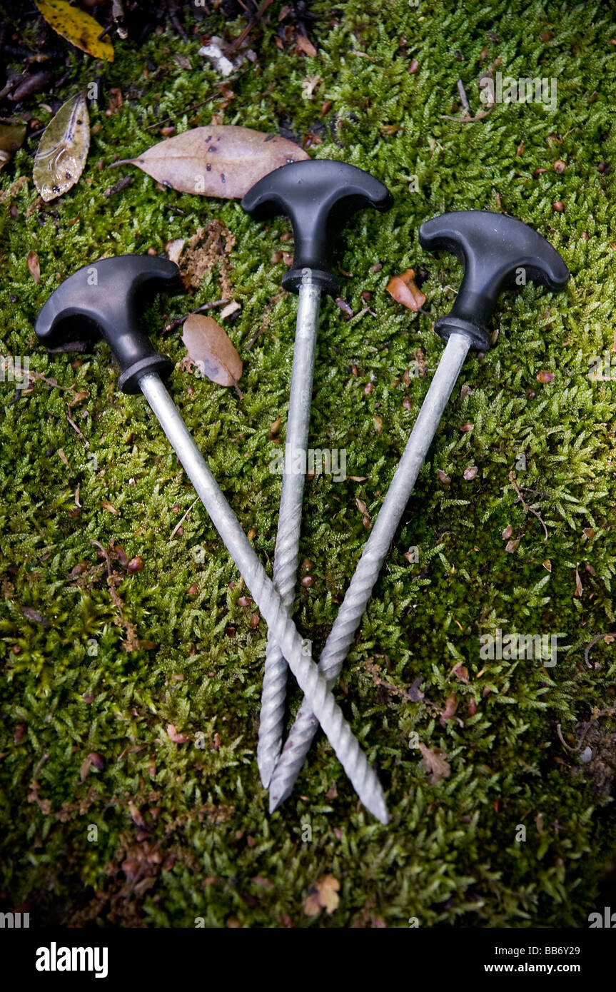 Three bivvy pegs for your camping tent Stock Photo Alamy