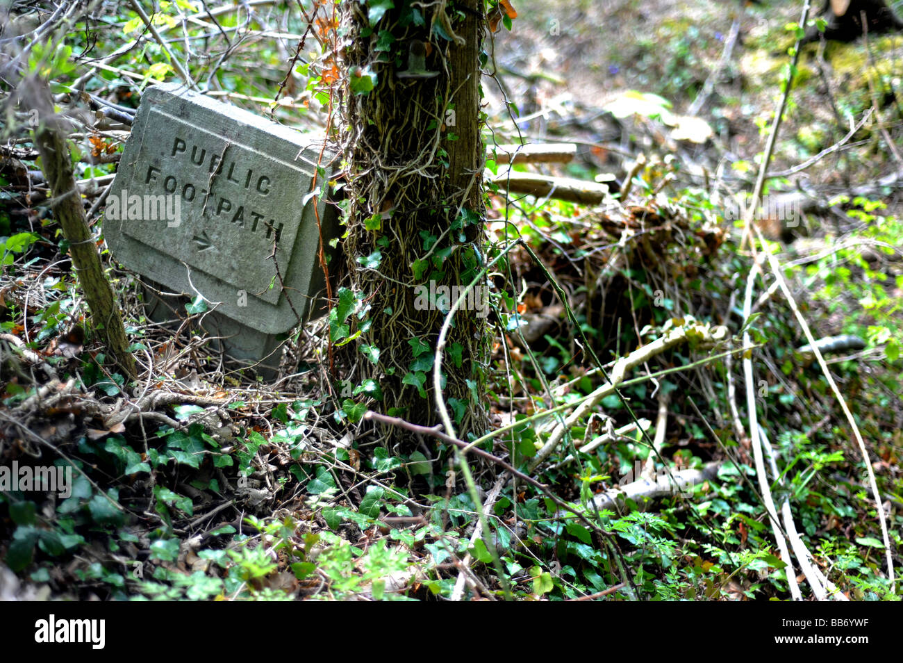 an-overgrown-public-footpath-sign-in-a-wood-in-sussex-stock-photo-alamy